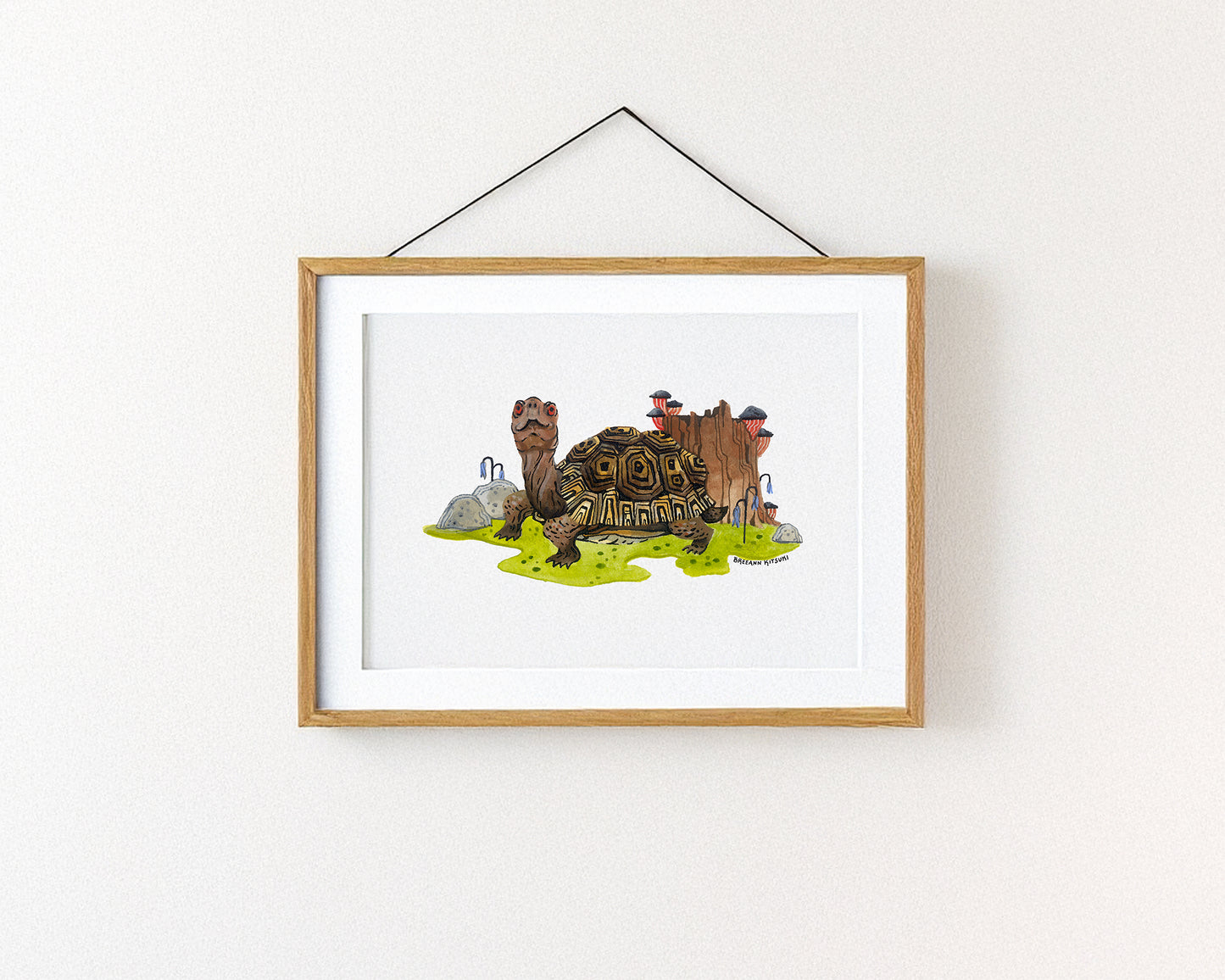 Box Turtle Art Print