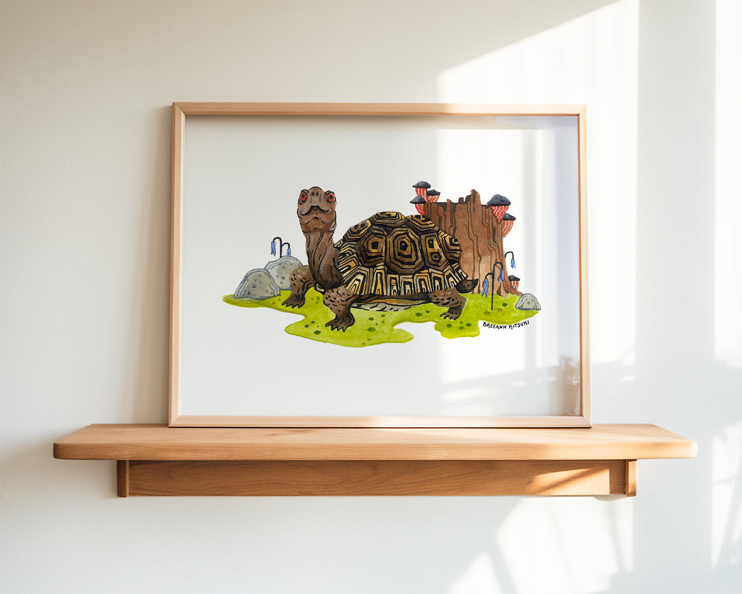 Box Turtle Art Print