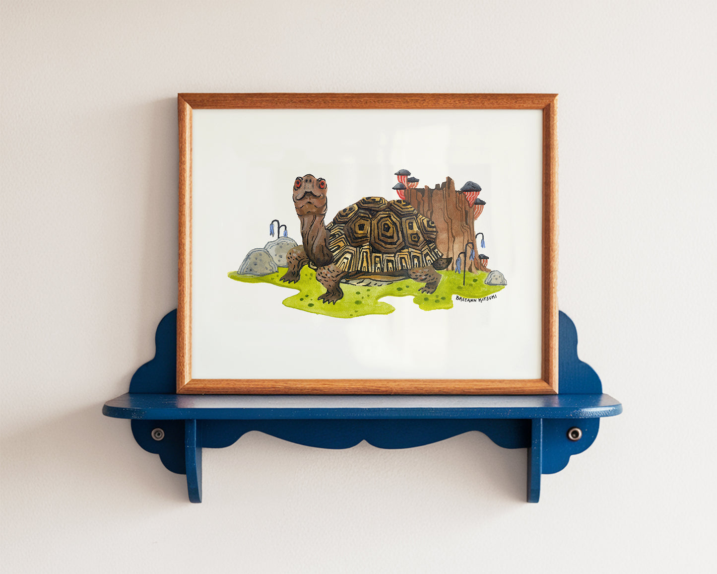Box Turtle Art Print