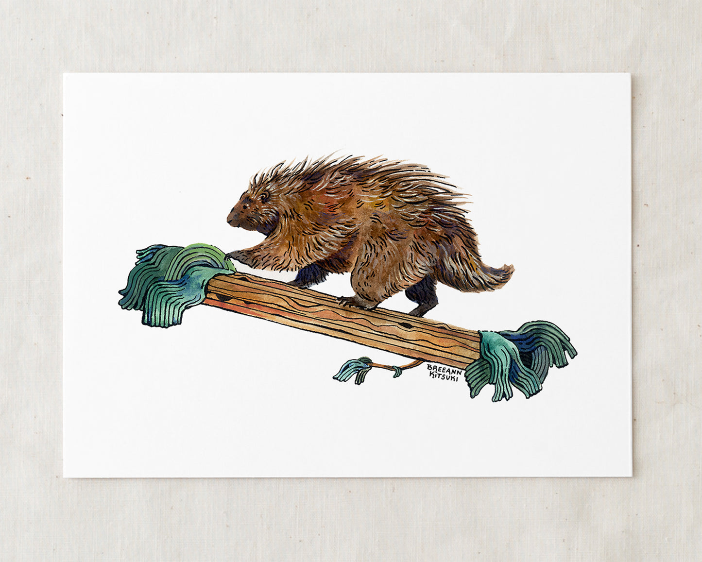 Porcupine Art Print