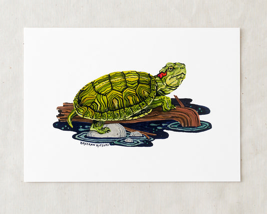 Red-eared Slider Turtle Art Print
