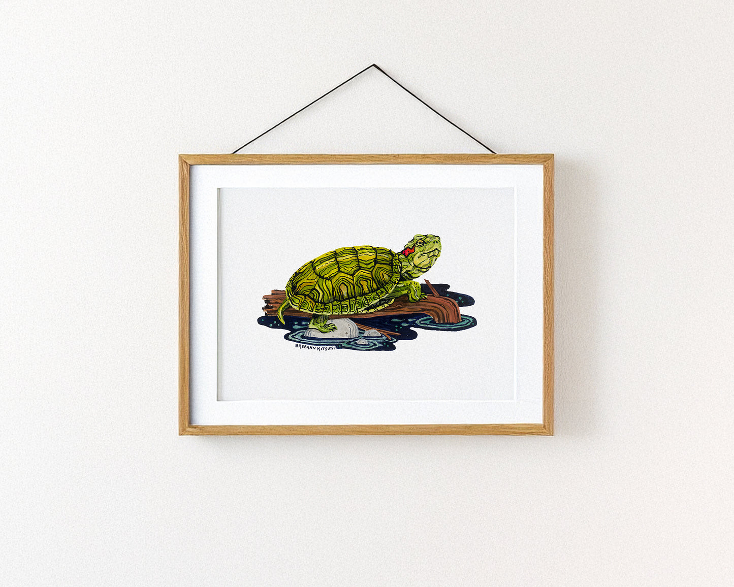 Red-eared Slider Turtle Art Print