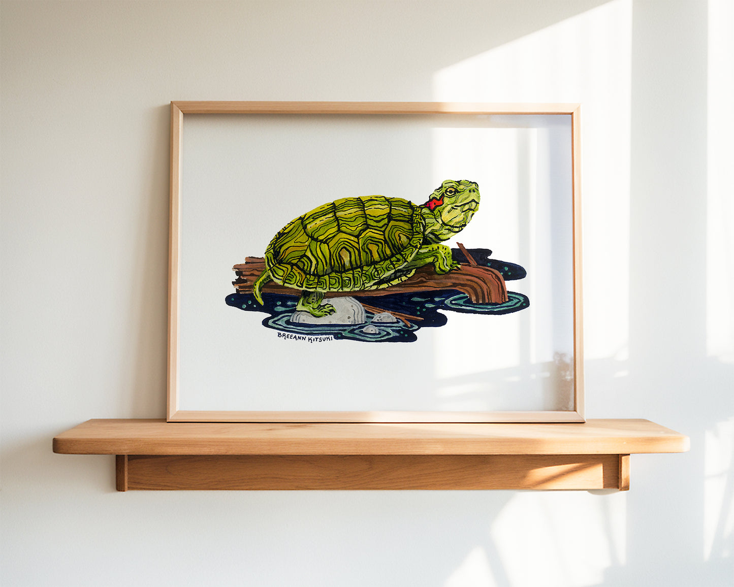 Red-eared Slider Turtle Art Print