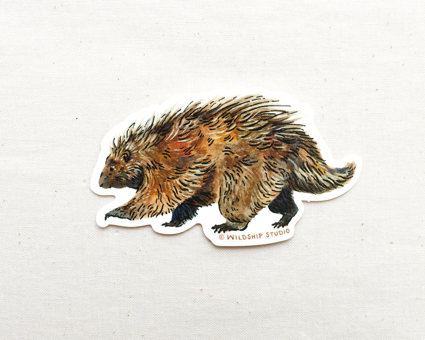 Porcupine Sticker