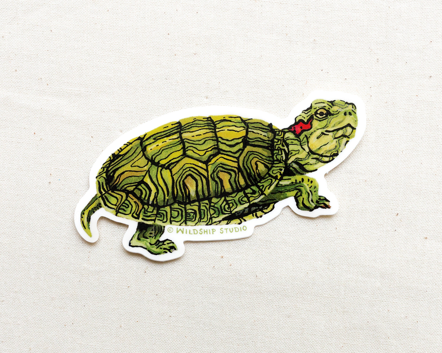 Red-eared Slider Turtle Sticker