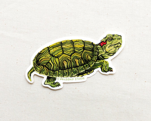 Red-eared Slider Turtle Sticker