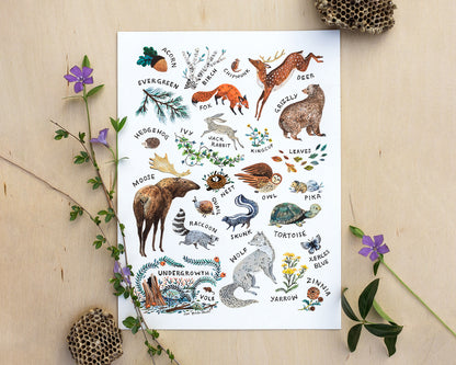 Woodland Alphabet Art Print