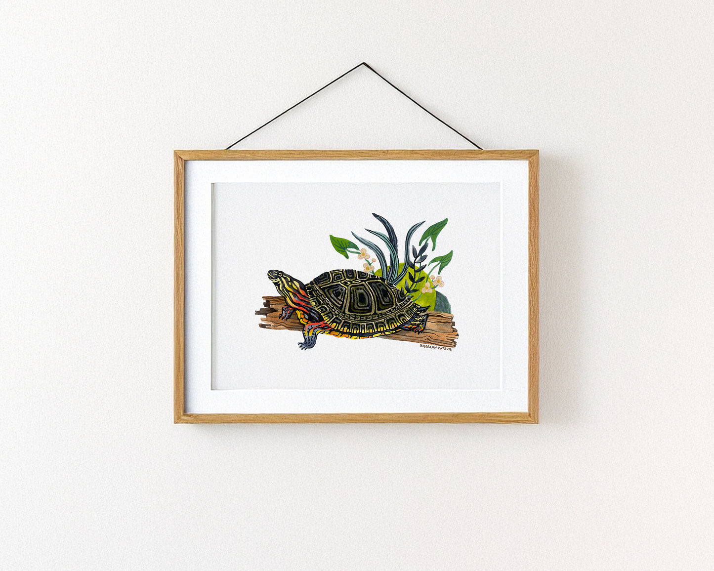 Painted Turtle Art Print