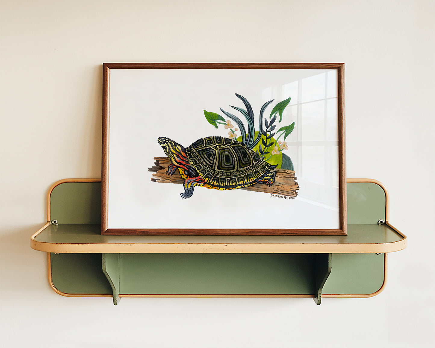 Painted Turtle Art Print