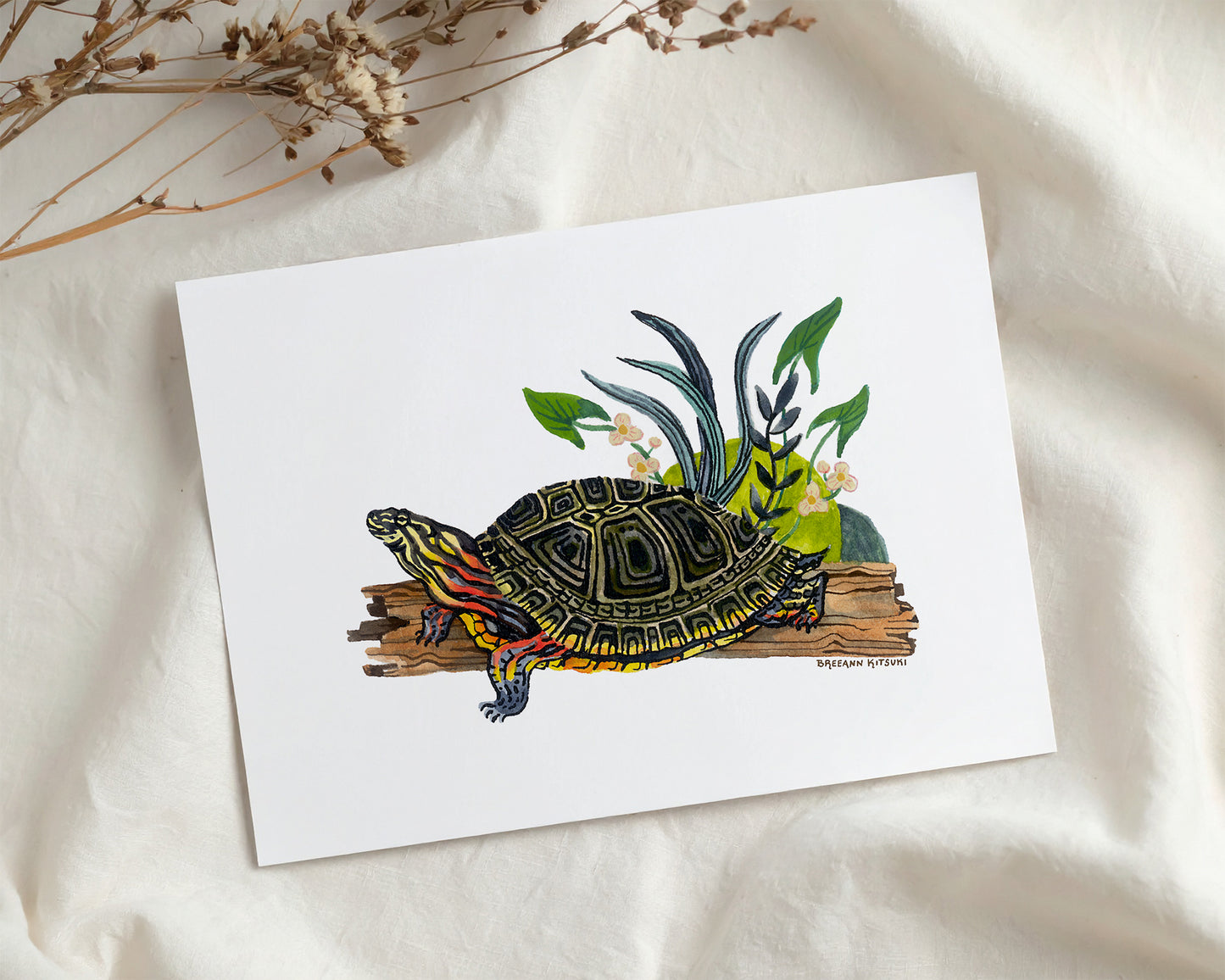 Painted Turtle Art Print