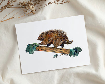 Porcupine Art Print