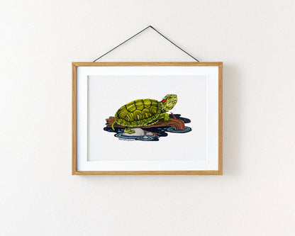 Red-eared Slider Turtle Art Print