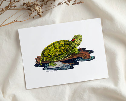 Red-eared Slider Turtle Art Print