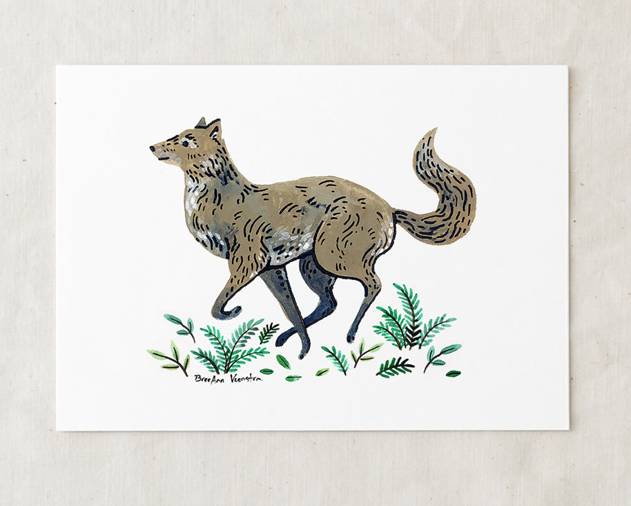 Gray Wolf Art Print