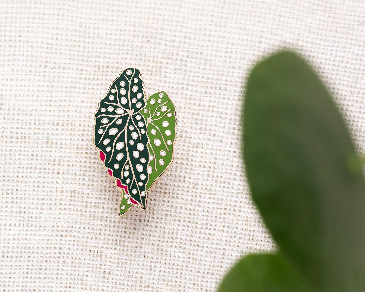 Begonia Plant Enamel Pin