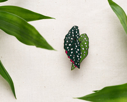 Begonia Plant Enamel Pin