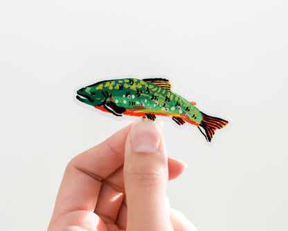 hand holding a cute brook trout fish vinyl sticker by wildship studio