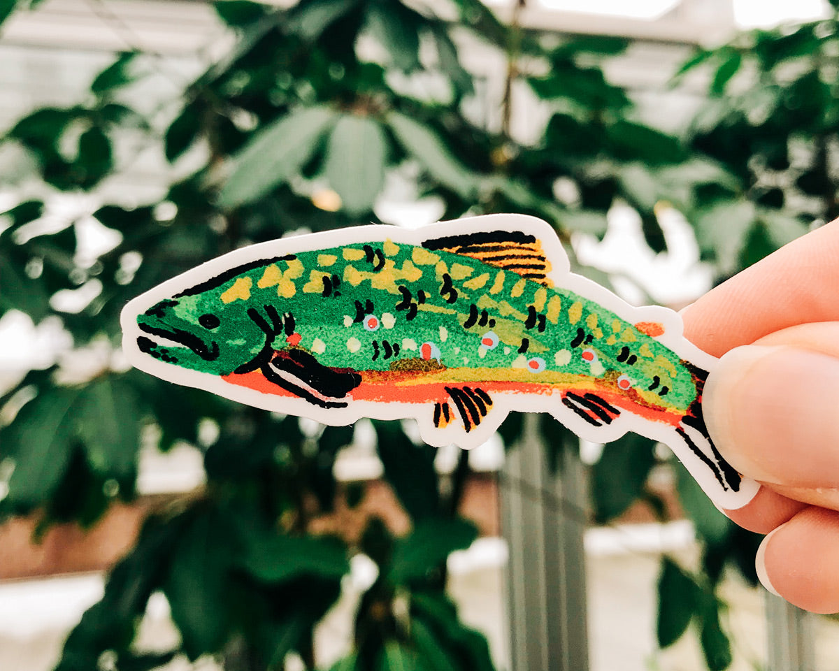 cute brook trout fish vinyl animal sticker art by wildship studio held against plants