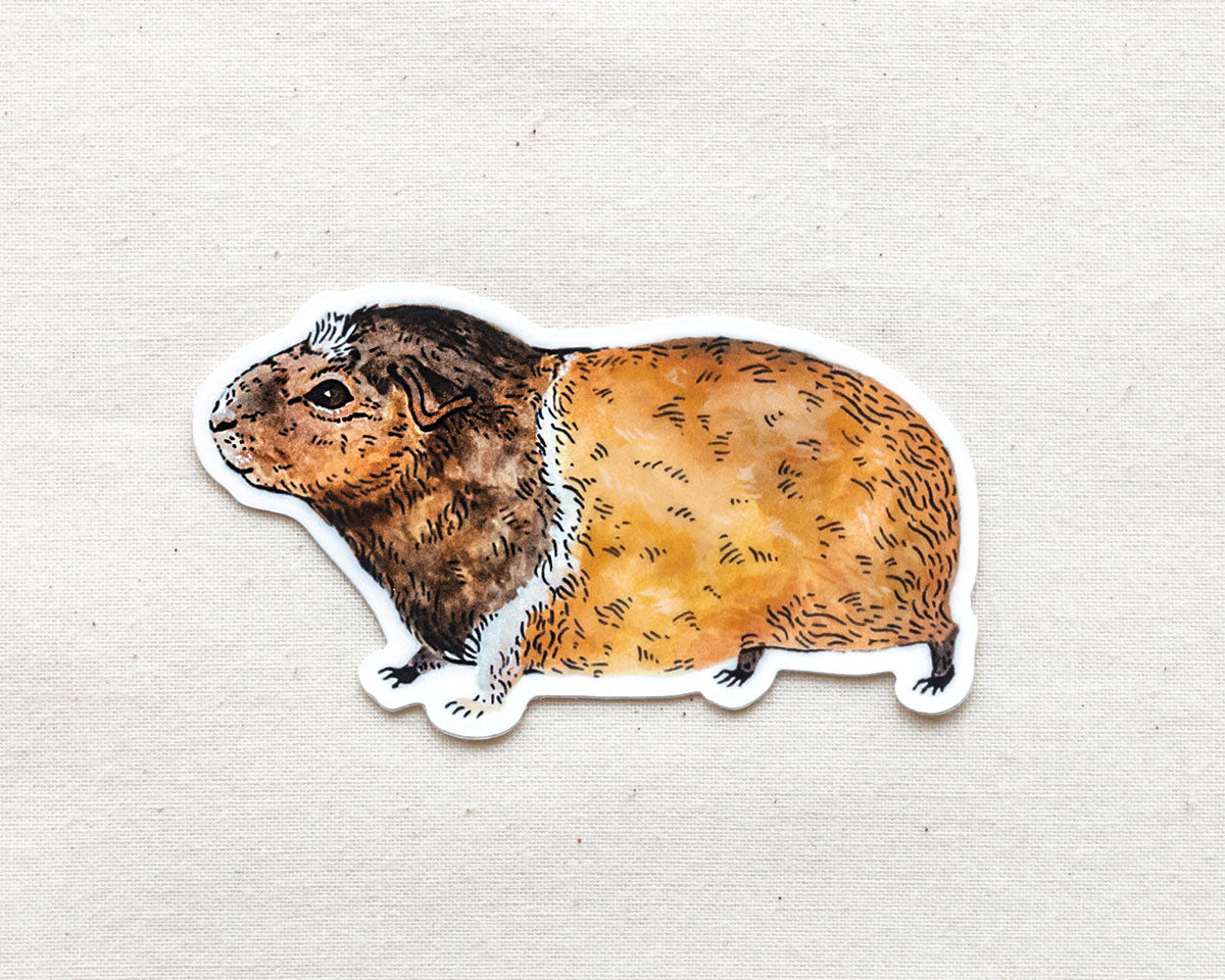 cute guinea pig vinyl animal sticker by wildship studio