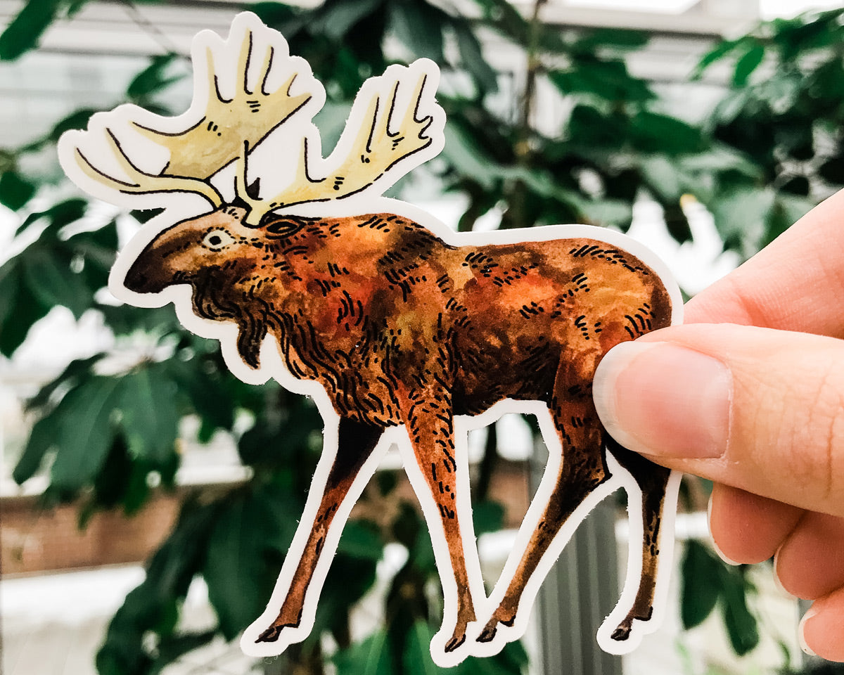 cute moose vinyl animal sticker art by wildship studio held against plants