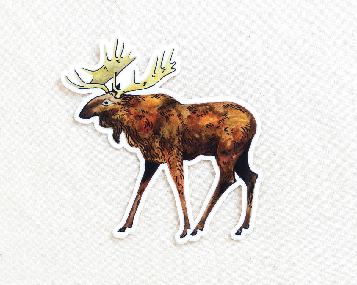 cute moose vinyl sticker by wildship studio