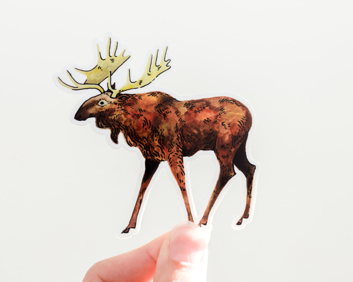 hand holding a cute moose vinyl sticker by wildship studio