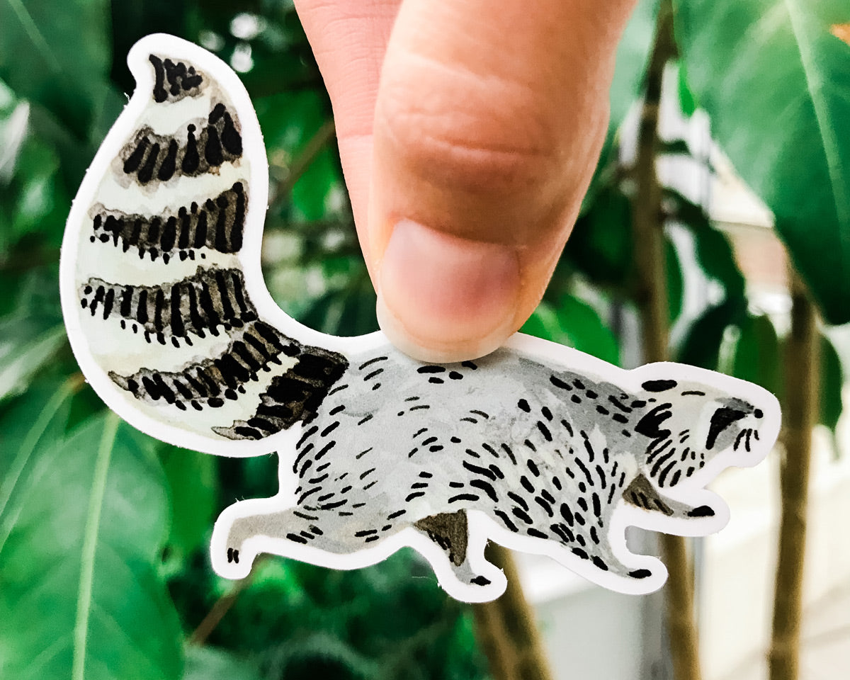 cute raccoon vinyl animal sticker art by wildship studio held against plants