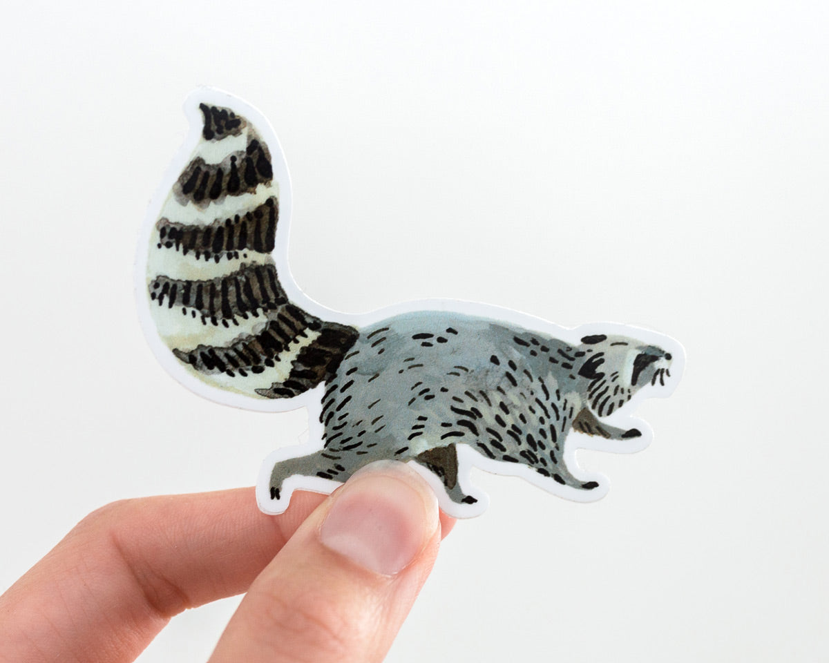 Raccoon Sticker – Wildship Studio