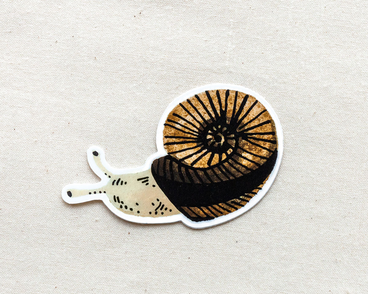 cute snail vinyl animal sticker by wildship studio