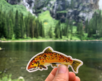 Brown Trout Sticker