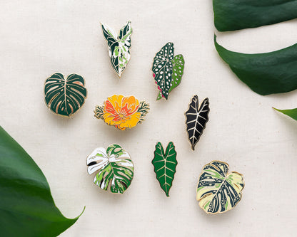 Syngonium Albo Plant Enamel Pin