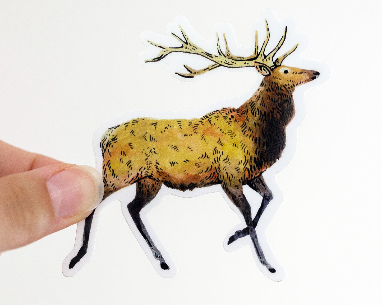 Elk Sticker