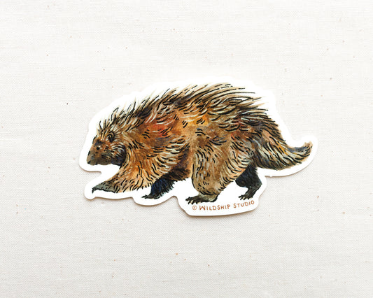 Porcupine Sticker