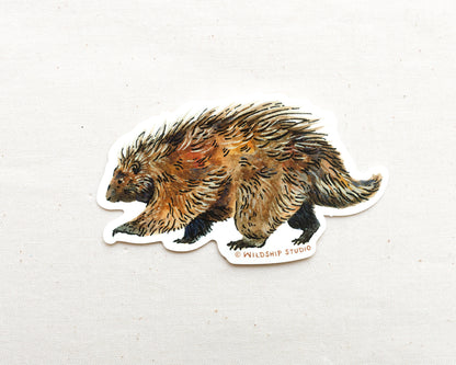 Porcupine Sticker