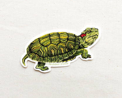 Red-eared Slider Turtle Sticker