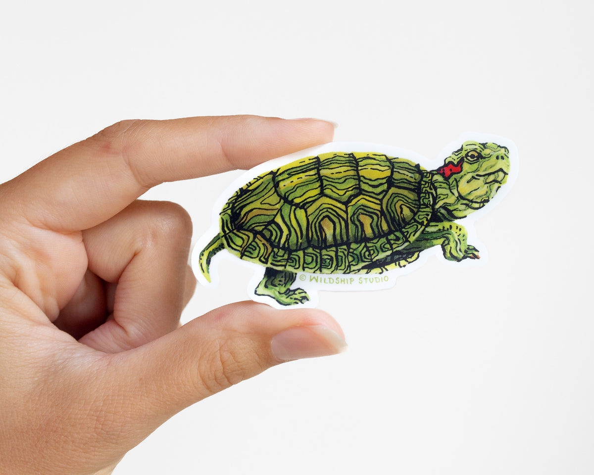 Turtle Sticjer Red-eared Slider Turtle Sticker – Wildship Studio