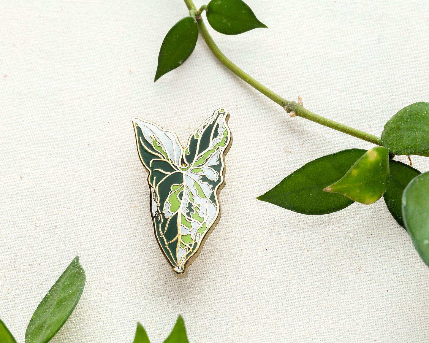 Syngonium Albo Plant Enamel Pin