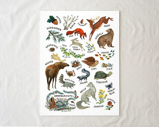 Woodland Alphabet Art Poster by Wildship Studio